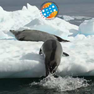 Climate Change and Marine Mammals in the Arctic